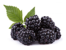 Blackberries