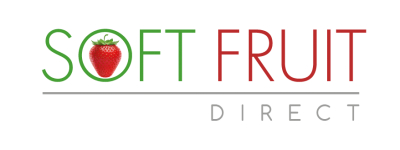 softfruite_logo